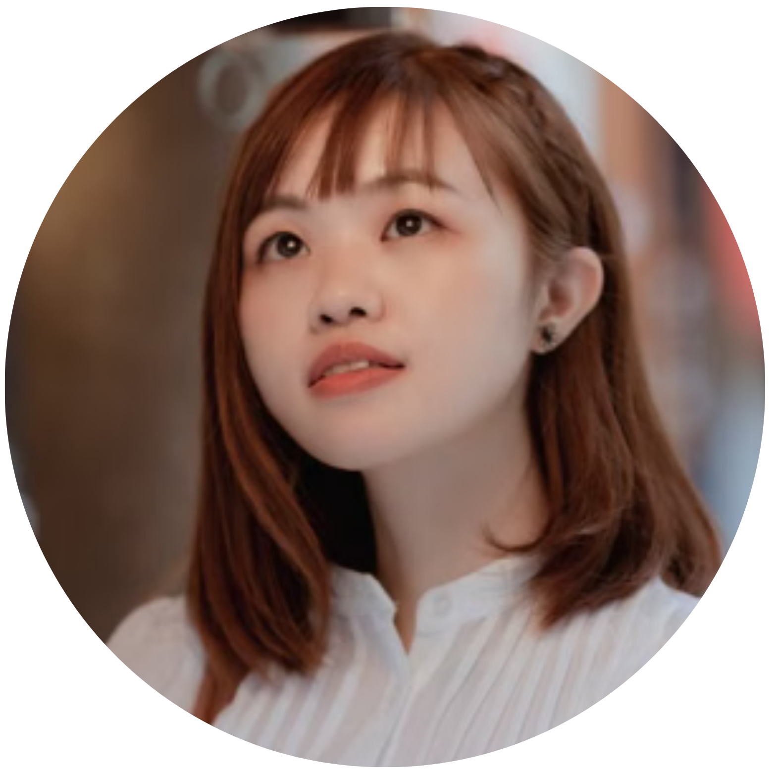 stigious 英文网站logo (4)