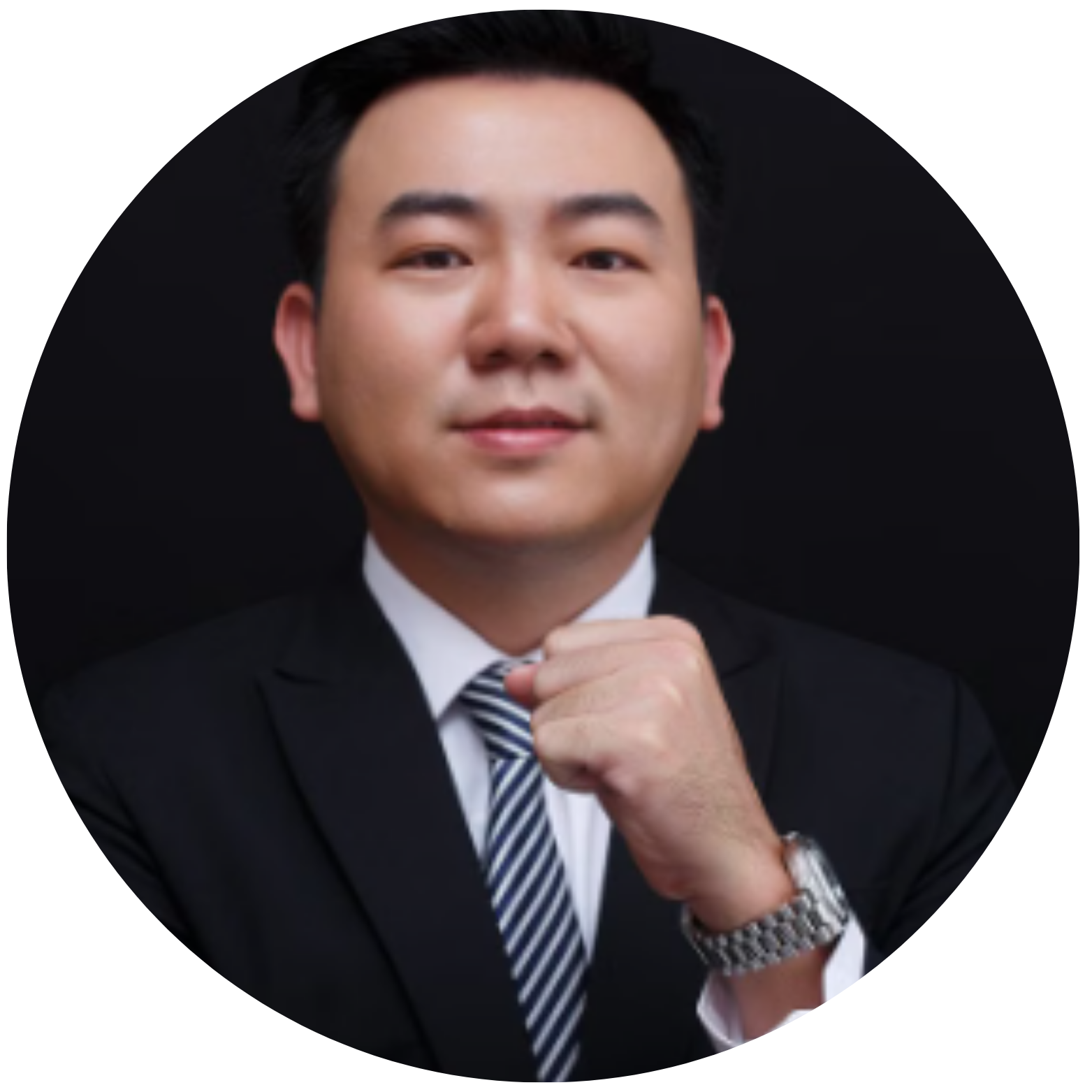 stigious 英文网站logo (5)
